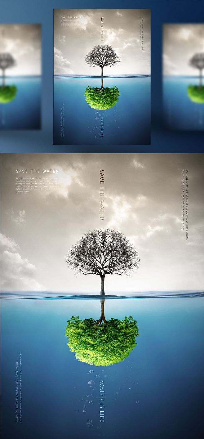 綠色復(fù)蘇 喚醒枯樹的希望